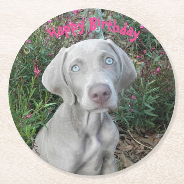 Brooklyn's Birthday Garden Party - Weimaraner Hund Underlägg Papper Rund (Framsidan)