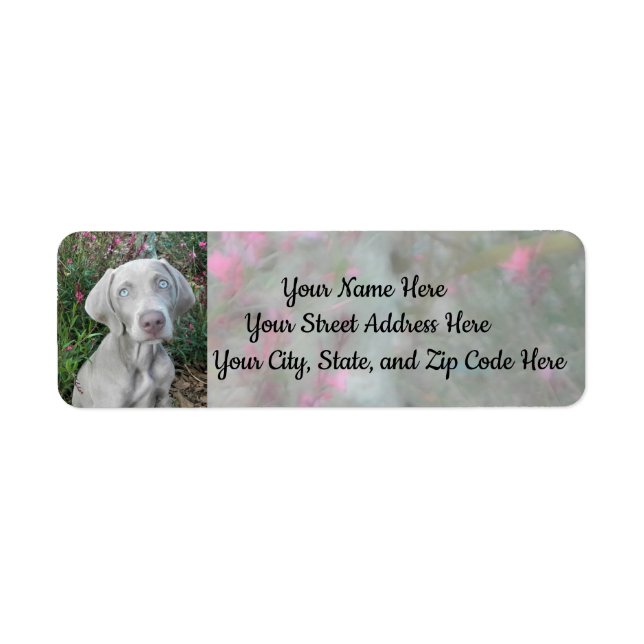 Brooklyns Garden Party-Weimaraner Hund Adress Returadress Etikett (Framsidan)
