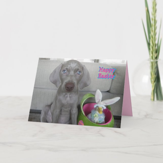 Brooklyn's Påsk - Weimaraner Hund / marionettkort Helgkort (Framsida)