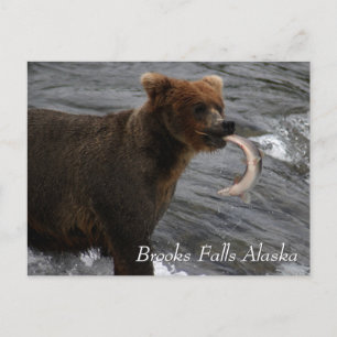 Brooks Falls Alaska Vykort