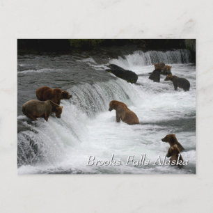 Brooks Falls Alaska.. Vykort