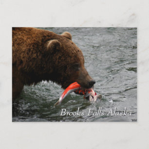 Brooks Falls Alaska Vykort