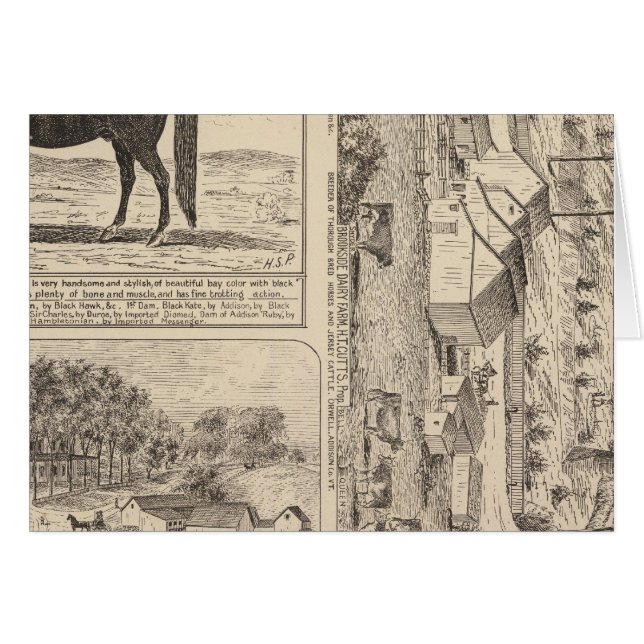 Brookside Dairy Farm Hälsningskort (Framsidan Horizontal)