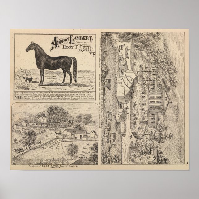 Brookside Dairy Farm Poster (Framsidan)