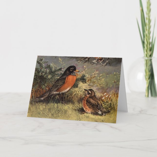 Brooks'Robins Kort (Framsida)