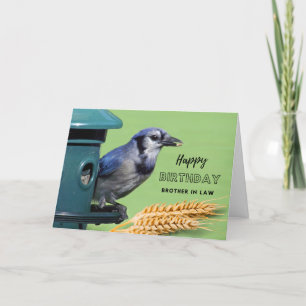 Bror i Lag Birthday med Blue Jay i Feeder Kort