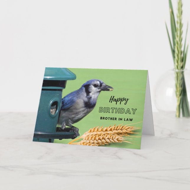 Bror i Lag Birthday med Blue Jay i Feeder Kort (Framsida)