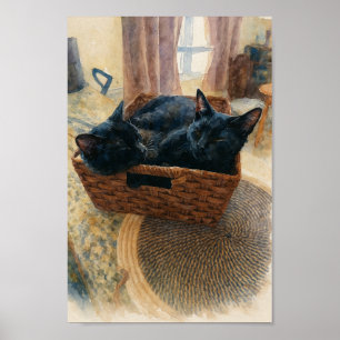 Bror och syster Cat Kärlek Poster
