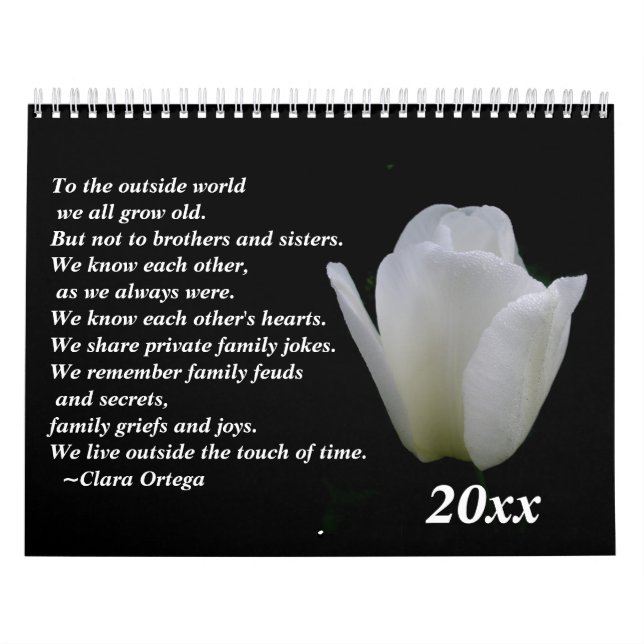 Bror/syster födelsedag kalender (Omslag)