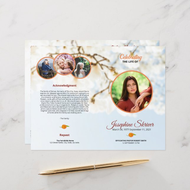 Broschyr om mallen för allmän programmall (Fram/Back In Situ)