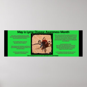 Broschyr om medvetenhet om borrelia poster