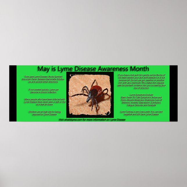 Broschyr om medvetenhet om borrelia poster (Framsidan)