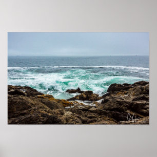 Bröstande Vinkara Poster