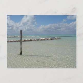 Bröstande... Vykort