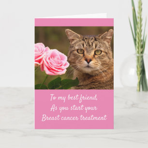 Bröstcancer hos katt och Ro  Kort