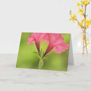 Bröstcancer medvetenhet Rosa Petunia Kort