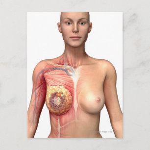 Bröstcancer Vykort
