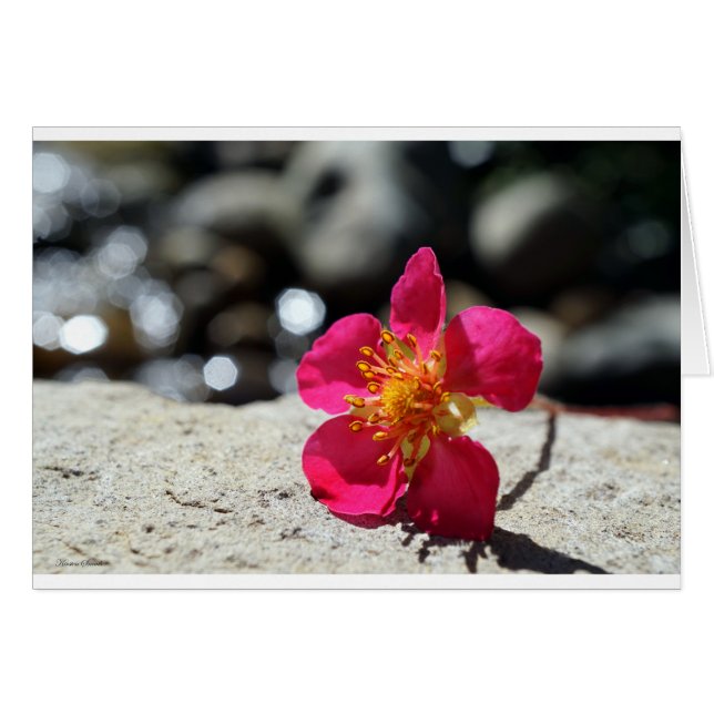 Bröstkort för jordgubbsblomma hälsningskort (Framsidan Horizontal)