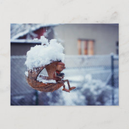 Bröstkort för matande fåglar på höns vykort