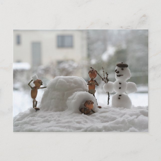 Bröstkort i snö vykort (Framsida)