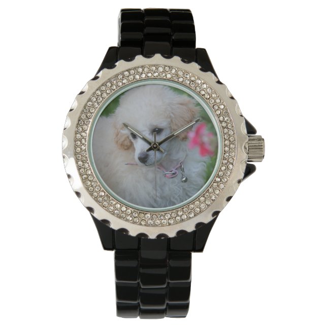 Bröstkur vid hund i leksak armbandsur (Framsida)