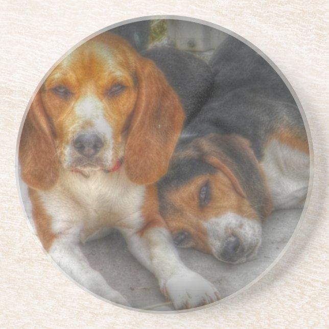 Brother Beagles Underlägg (Framsidan)