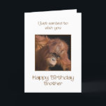 Brother Birthday, Orang Utan Kort<br><div class="desc">Ge din bror är en kinkig apa på ett födelsedagskort. Ett födelsedagskort för din egen toppbanan! En baby orangutan tittar söt.</div>