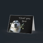 Brother Grattis på födelsedagen Card Funny Kort<br><div class="desc">Det här är ett sött Grattis på födelsedagen-kort till din bror.  Ett vackert Husky-hus med olivträd gren.  Säg till Bro,  "Olive" (I kärlek) på hans födelsedag!</div>