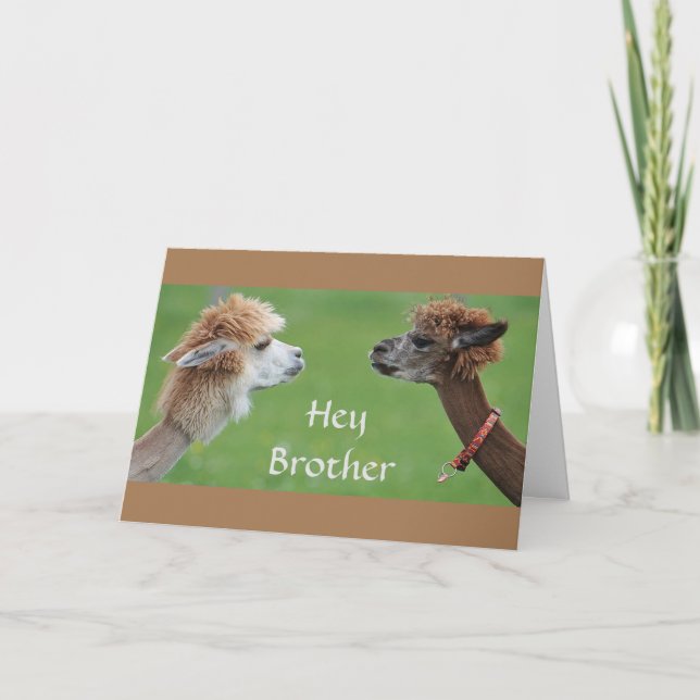 BROTHER HUMOR FÖR MIN FAV *SISTER'S* BIRTHDAY! KORT (Framsida)