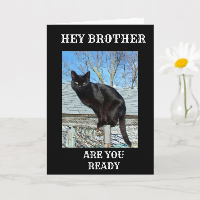 BROTHER IS "40" SAYS FUNNY BLACK CAT KORT (Liten växt)