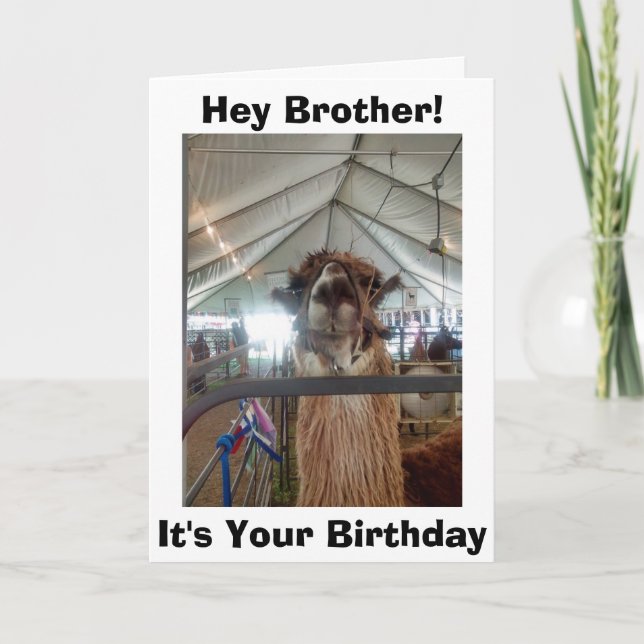 *BROTHER* LLAMA HUMOR PÅ DIN BIRTHDAY KORT (Framsida)