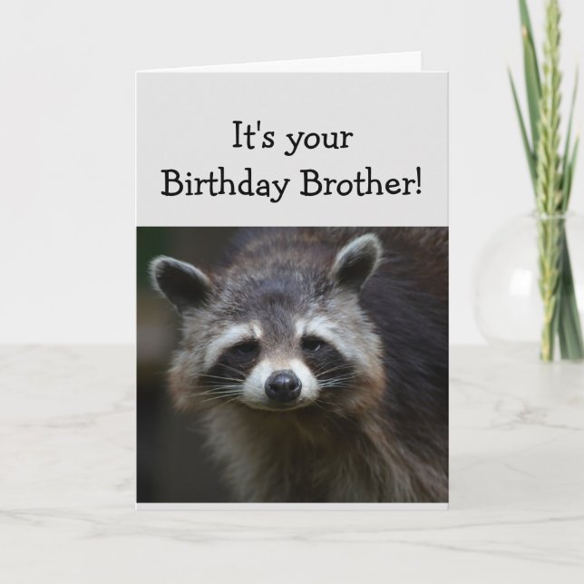 BROTHER Roligt Age Humor Ledsen Raccoon Humor Kort (Framsida)