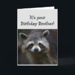 BROTHER Roligt Age Humor Ledsen Raccoon Humor Kort<br><div class="desc">Bladdagen för din BROTHER Roligt Age Bara för att du har haft många. Humoristisk depression Raccoon Animal Art</div>