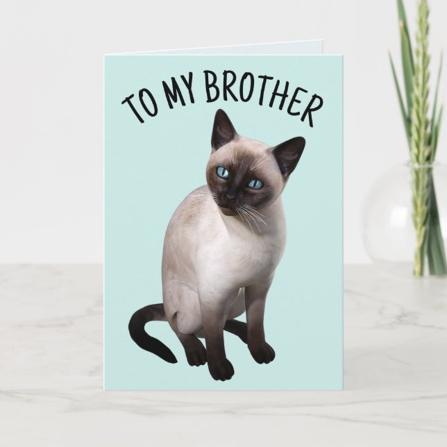 BROTHER SIAMESE CAT BIRTHDAY Greeting Card Kort (Framsida)