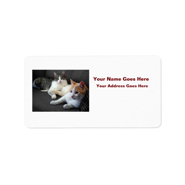Brother & Sister Kitties Adressetikett (Framsidan)