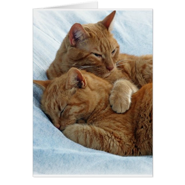 Brotherly Kärlek Hälsningskort (Framsidan)