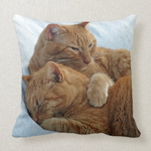 Brotherly Kärlek Pillow Kudde