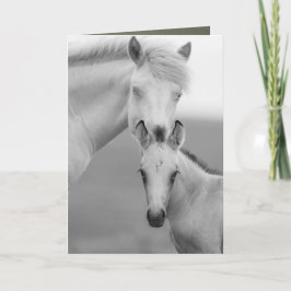 Brothers Vild Horse Greeting Card Kort