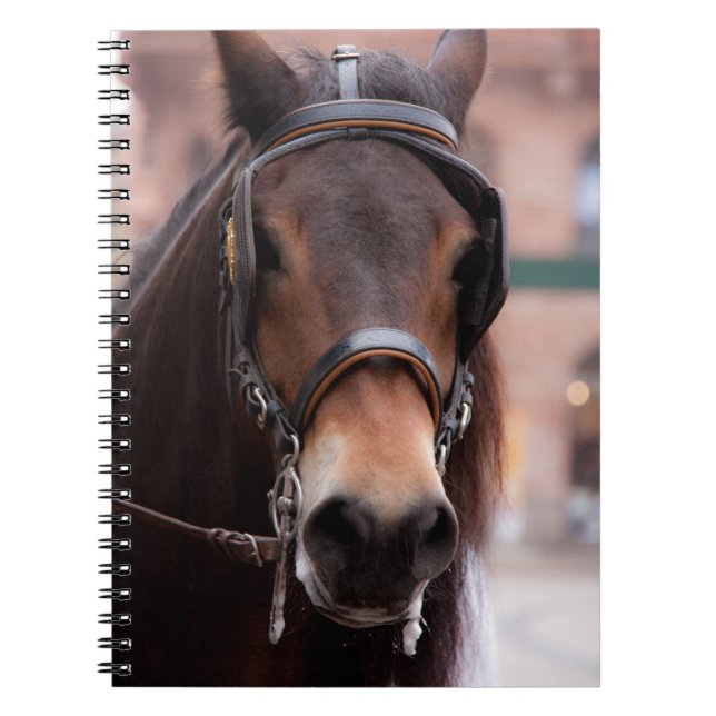 Brott häst anteckningsbok med spiral (Framsidan)