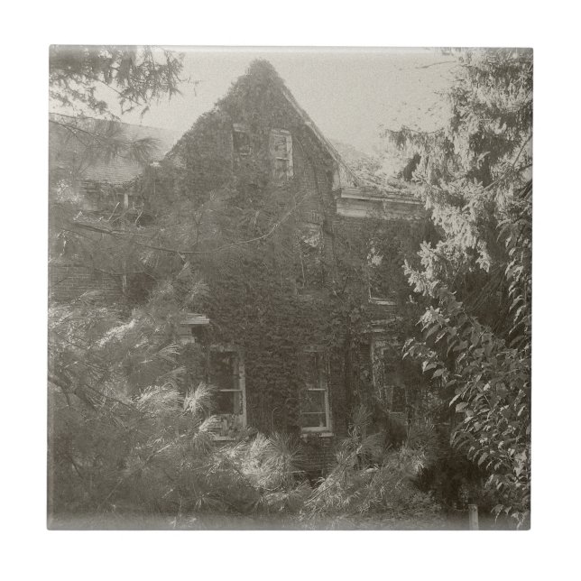 Brött mansion! kakelplatta (Framsidan)