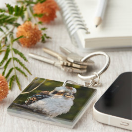 Brött skratt kookaburra