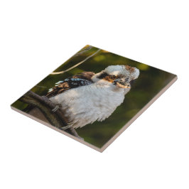 Brött skratt kookaburra kakelplatta