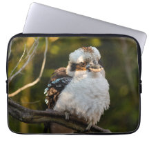 Brött skratt kookaburra