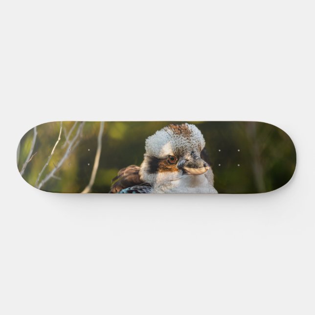 Brött skratt kookaburra mini skateboard bräda 18,5 cm (Horz)