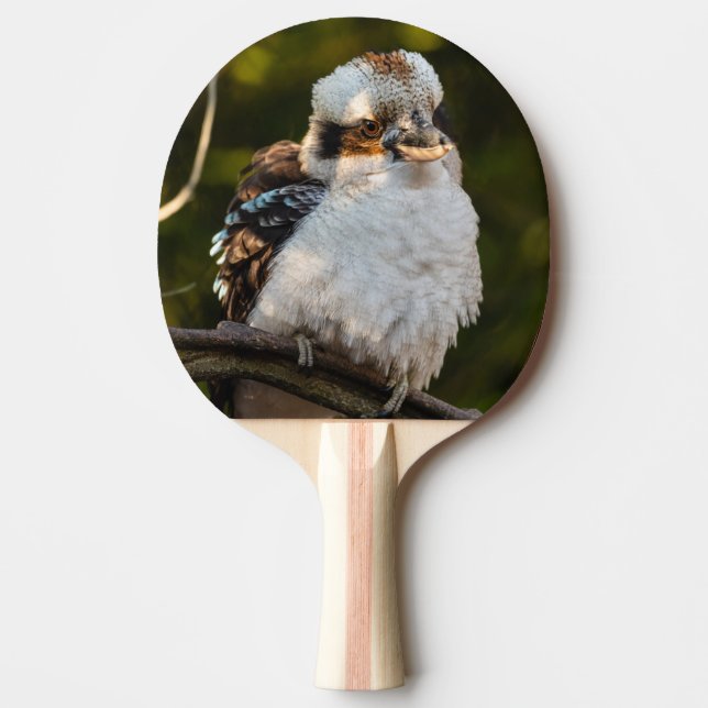 Brött skratt kookaburra pingisracket (Framsidan)