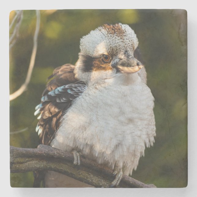 Brött skratt kookaburra stenunderlägg (Framsidan)