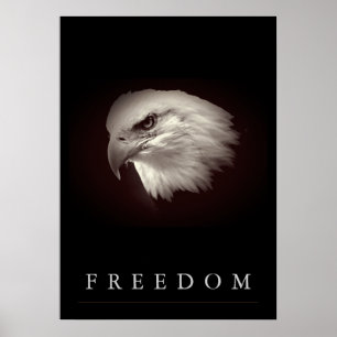 Browish Freedom American Eagle Ansikte Patriotic Poster