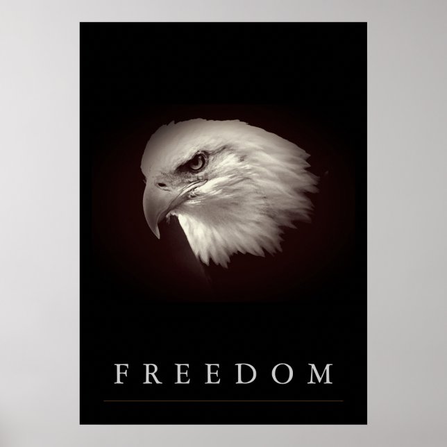 Browish Freedom American Eagle Ansikte Patriotic Poster (Framsidan)