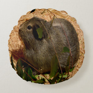 Brown Adsible Guinea Gris, Rund Kudde
