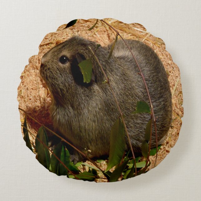 Brown Adsible Guinea Gris, Rund Kudde (Framsidan)